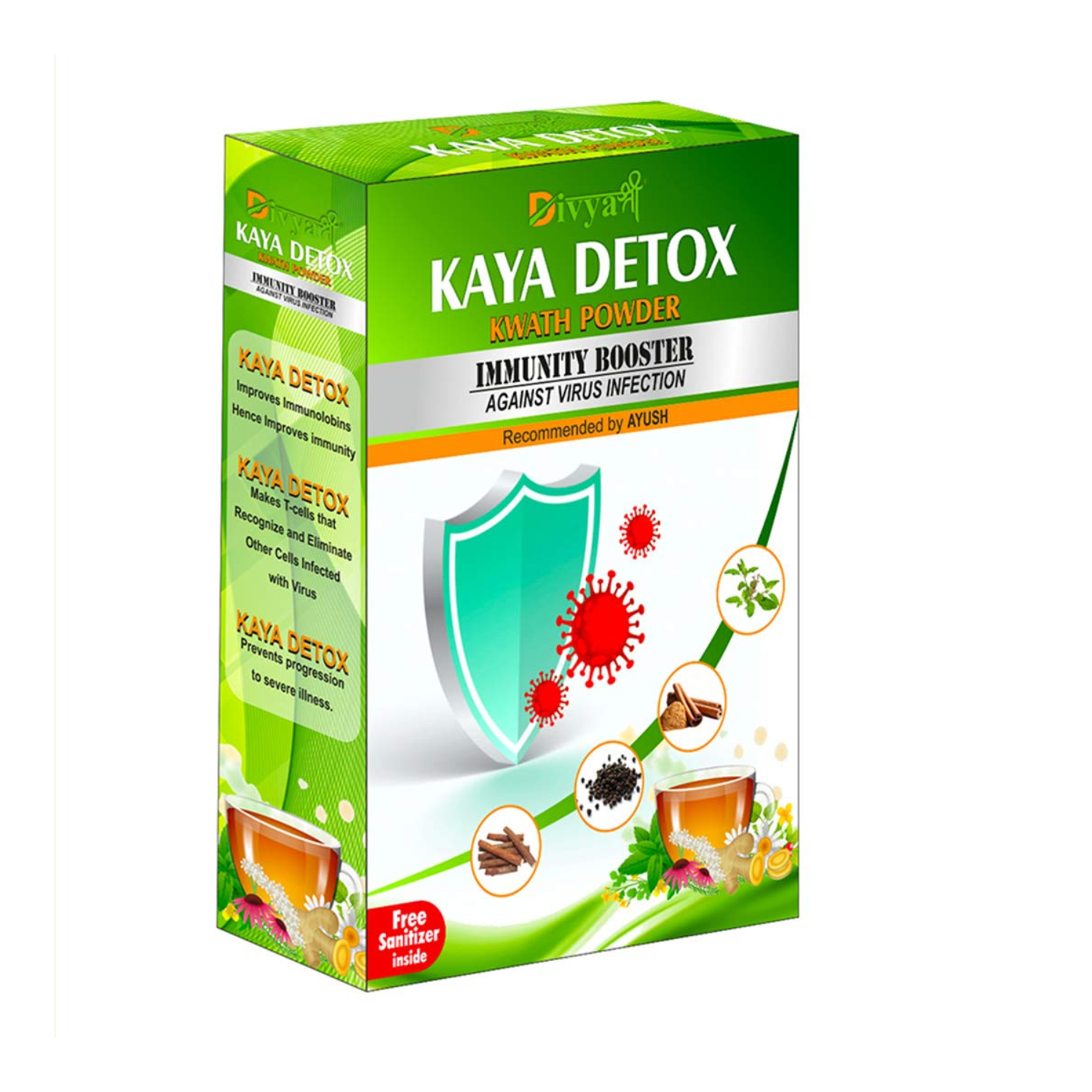 Divya Shree Kaya Detox Kwath Powder